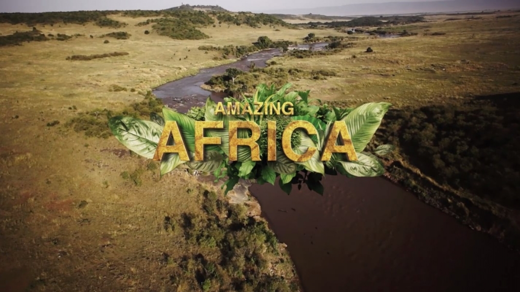 Amazing Africa