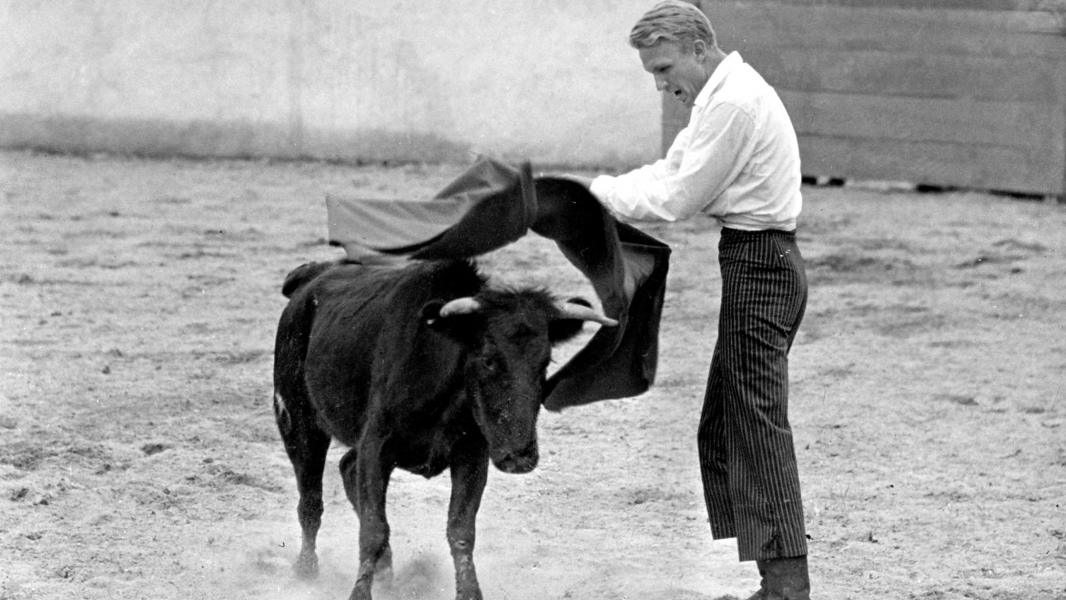 Bullfighter and the Lady